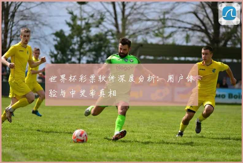 世界杯彩票软件深度分析：用户体验与中奖率真相