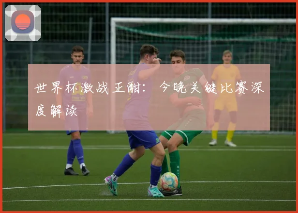世界杯激战正酣：今晚关键比赛深度解读
