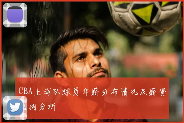 CBA上海队球员年薪分布情况及薪资结构分析