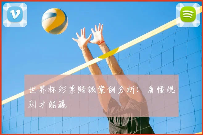 世界杯彩票赔钱案例分析：看懂规则才能赢