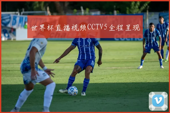 世界杯直播视频CCTV5全程呈现