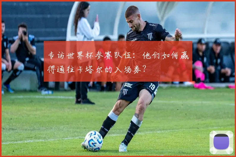 专访世界杯参赛队伍：他们如何赢得通往卡塔尔的入场券？