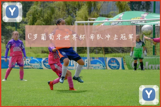 C罗葡萄牙世界杯 率队冲击冠军