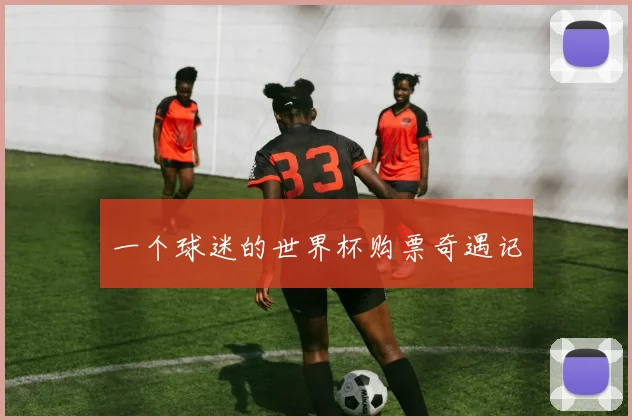 一个球迷的世界杯购票奇遇记