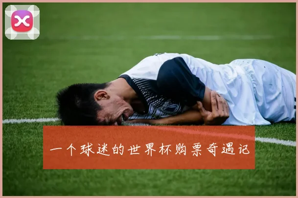 一个球迷的世界杯购票奇遇记